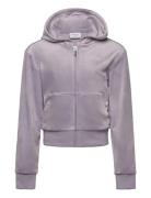 Tonal Zip Through Hoodie Purple Juicy Couture