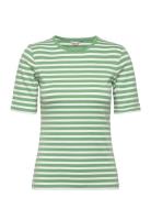 Slim Striped 1X1 Ribbed Ss T-Shirt Green GANT