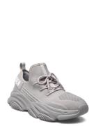 Prospect Sneaker Grey Steve Madden