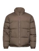 Hco. Guys Outerwear Brown Hollister