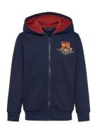 Lwscout 705 - Sweatshirt Navy LEGO Kidswear