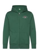 Graphic Fullzip Hoodie Green GANT