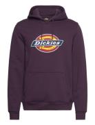 M Icon Logo Hoodie Purple Dickies