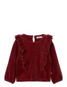 Nmfsaga Ls Nreg Top Lil Red Lil'Atelier