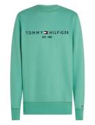 Tommy Logo Sweatshirt Green Tommy Hilfiger