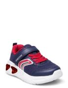 J Assister Boy C Navy GEOX