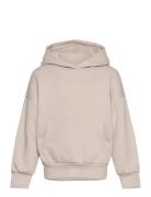 Sweatshirt Hood Solid Basic Beige Lindex