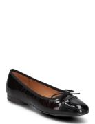 Ballerina Black Billi Bi