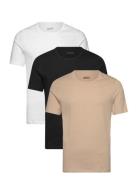 Tshirtrn 3P Classic Beige BOSS