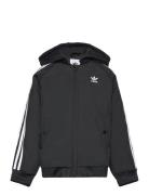 Bomber Jacket Black Adidas Originals