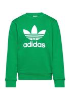 Trefoil Crew Green Adidas Originals