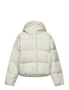 G North Down Hooded Jacket White The North Face