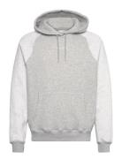 Hco. Guys Sweatshirts Grey Hollister