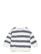 Striped Cotton-Blend Sweatshirt Blue Mango