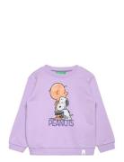 Sweater L/S Purple United Colors Of Benetton