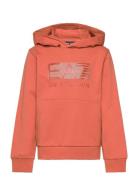 Sweatshirt  EA7