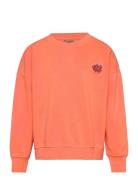 Tnd Neo  TUMBLE 'N DRY