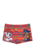 Swimsuit Patterned Paw Patrol