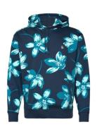 Aop Frnch Trry Paint Navy Original Penguin