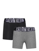 2Pk Boxer Brief Patterned Calvin Klein