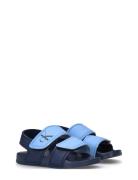 Kids Velcro Sandals Blue Calvin Klein
