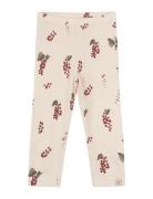 Legging Printed Cream Petit Piao