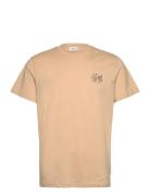 Sdpax Beige Solid