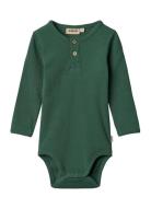 Body L/S Benny Green Wheat
