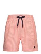 Mcs Swimshorts Irving Men  MCS