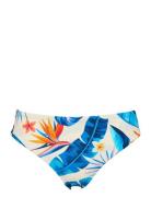 Lucca Tai Blue Missya