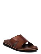Insight Brown Dune London