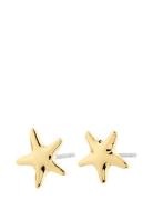 André Earrings Gold Pilgrim