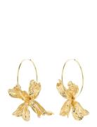 Dream Hoops Gold Pilgrim