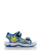 Pokemon Sandal Blue Leomil