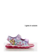 Pawpatrol Sandal Purple Leomil