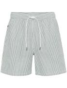 Maswimmer Green Matinique