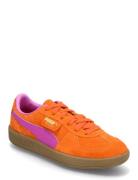 Palermo Jr Orange PUMA