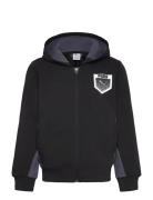 Active Sports Graphic Hoodie Full-Zip Tr B Black PUMA