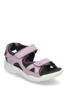 Biom Raft Purple ECCO