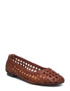 Ballerina Brown Billi Bi