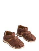 Sandal Frei Brown Wheat