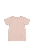 T-Shirt S/S Pointelle Pink Petit Piao