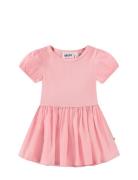 Caitlin Pink Molo