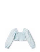 Rosemary Blue Molo
