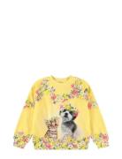 Maxi Yellow Molo