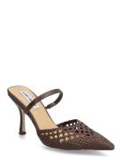 Brinley Brown Steve Madden
