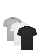 3 Pack Crew Patterned French Connection