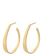 Vienna Creoles Gold Pernille Corydon