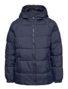 Hood Quilted Coat Navy Mango