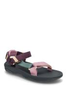 Hurricane Xlt 2 Purple Teva